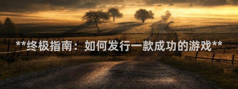 新城平台怎么样：**终极指南：如何发行一款成功的游戏**