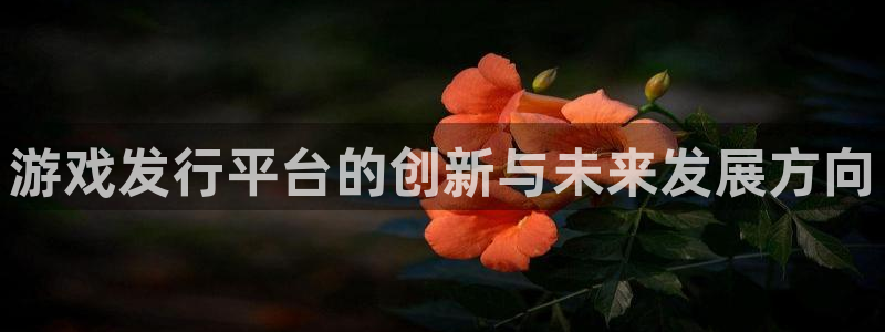 新城平台平台最新活动