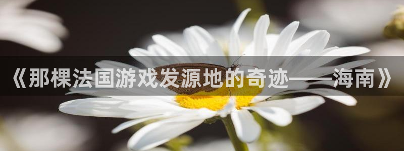 新城平台负责人电话