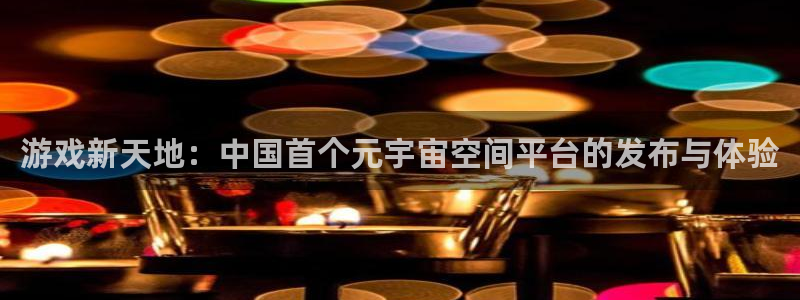 新城平台登录入口官网