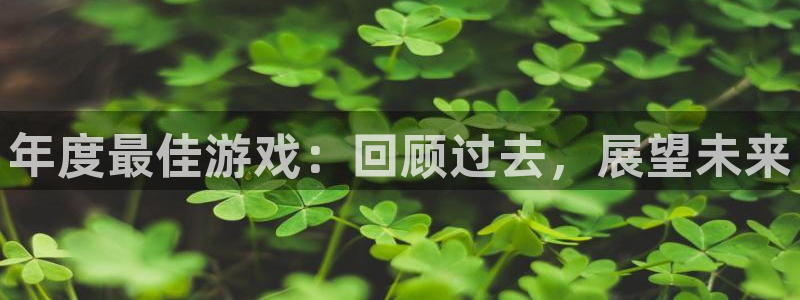 新城平台线路登录不上去怎么回事