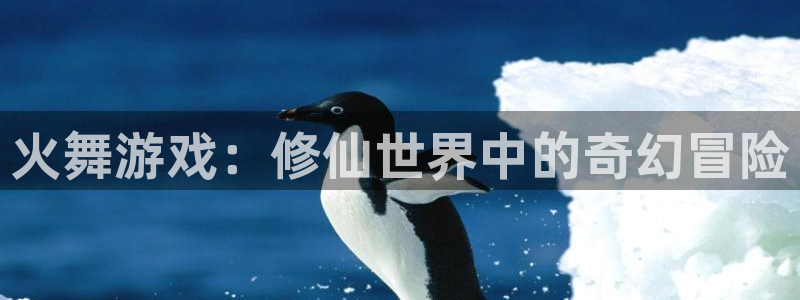 新城平台官网注册