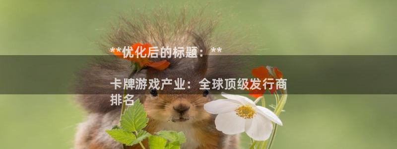 新城平台负责人是谁