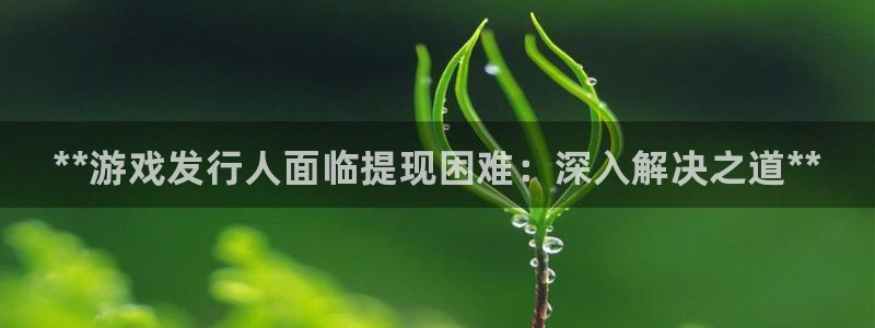 新城平台是干嘛的公司有哪些：**游戏发行人面临提现困难：深入解决之道**