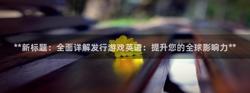 新城平台负责人