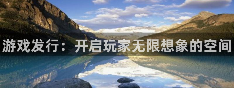 新城平台注册流程图：游戏发行：开启玩家无限想象的空间