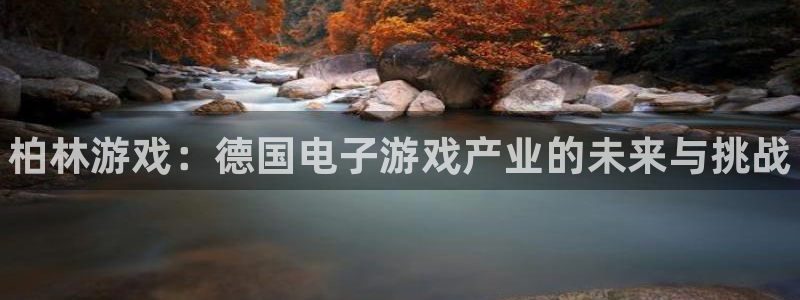 新城平台注册登录地址：柏林游戏：德国电子游戏产业的未来与挑战