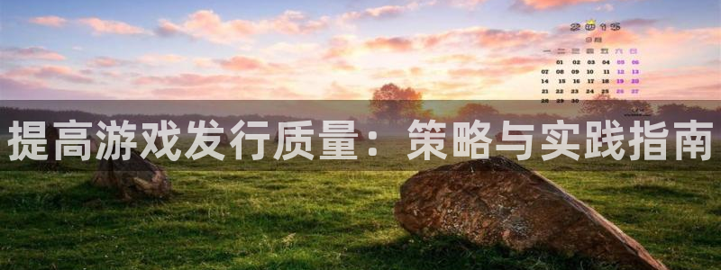 新城平台线路登录不上去了：提高游戏发行质量：策略与实践指南