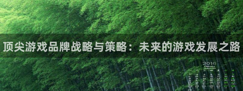 新城平台怎么样：顶尖游戏品牌战略与策略：未来的游戏发展之路