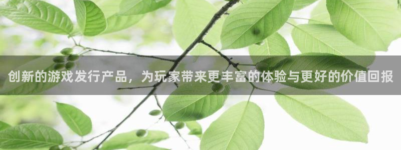 新城平台记7O777：创新的游戏发行产品，为玩家带来更丰富的体验与更好的价值回报