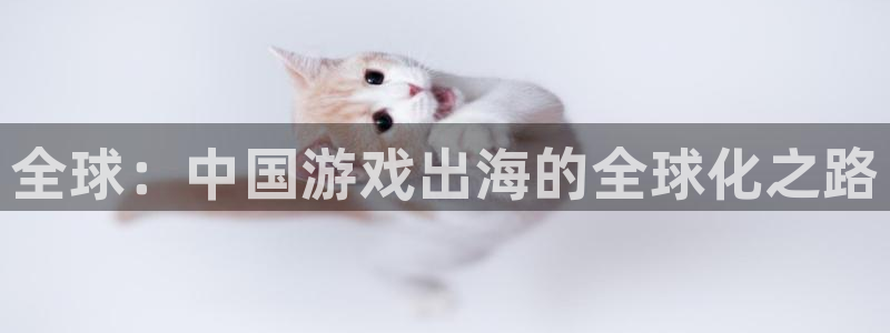 新城平台注册资金多少钱：全球：中国游戏出海的全球化之路