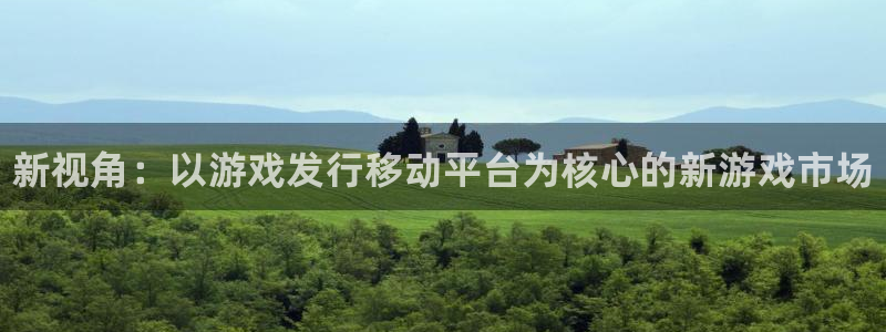 新城平台革7O777：新视角：以游戏发行移动平台为核心的新游戏市场