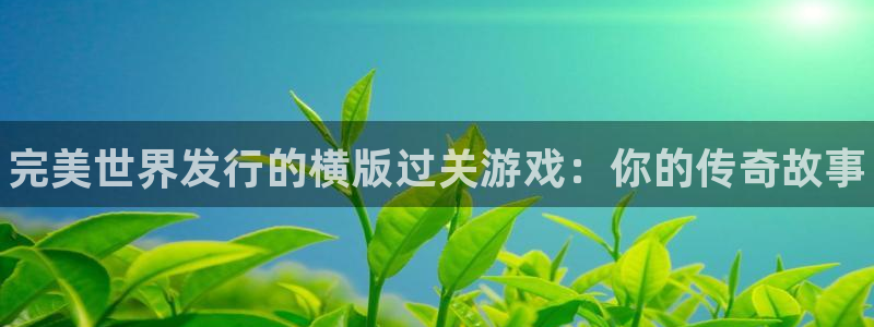 新城平台登录入口官网查询系统：完美世界发行的横版过关游戏：你的传奇故事