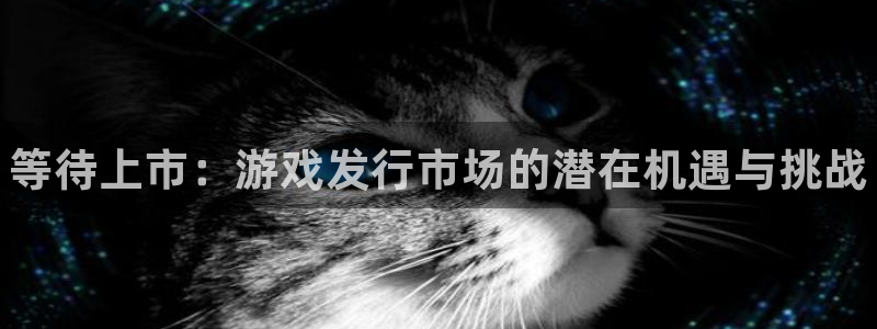 新城平台是干嘛的：等待上市：游戏发行市场的潜在机遇与挑战