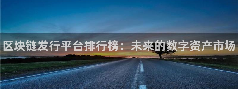 新城平台登录入口官网查询网址：区块链发行平台排行榜：未来的数字资产市场