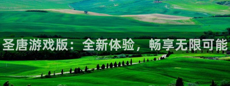 新城平台将7O777：圣唐游戏版：全新体验，畅享无限可能