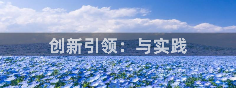 新城平台计7O777：创新引领：与实践